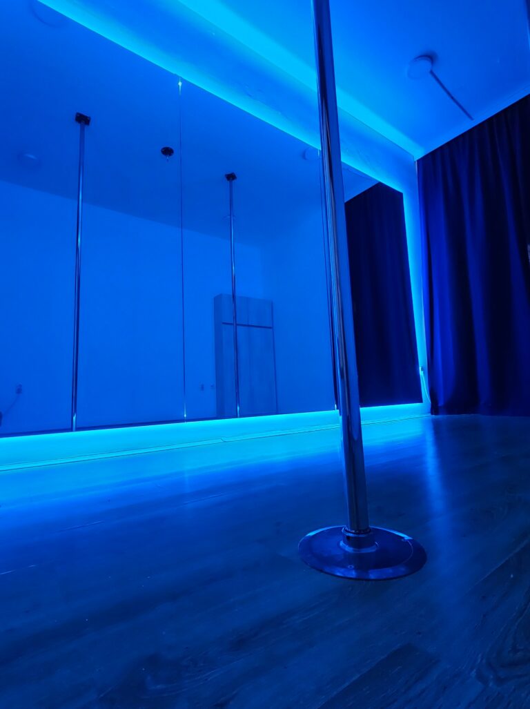 Invictus Pole Dance — izgled prostora, Beograd (Novi Beograd)