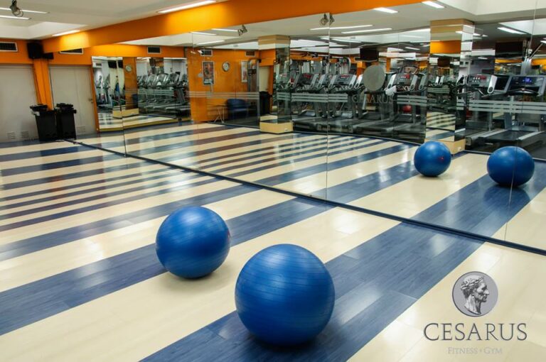 Fitness centar Cesarus — izgled prostora, Beograd (Novi Beograd)