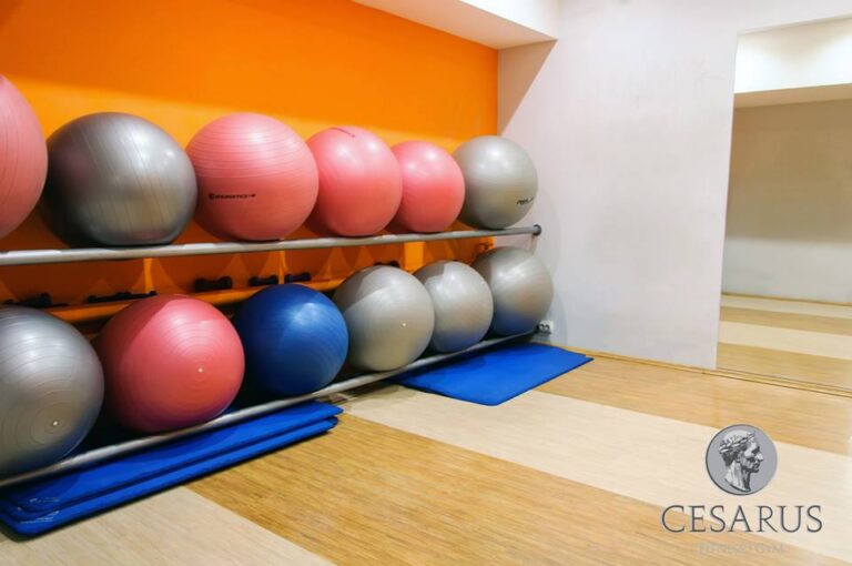 Fitness centar Cesarus — izgled prostora, Beograd (Novi Beograd)