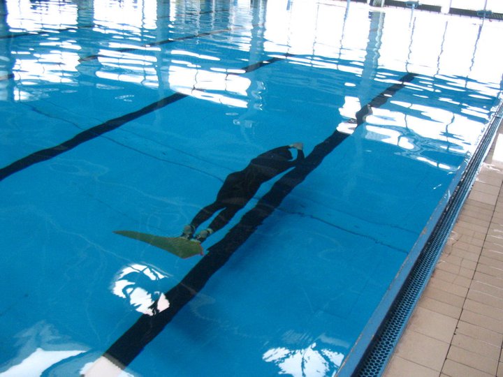 Ronilački klub Gusar