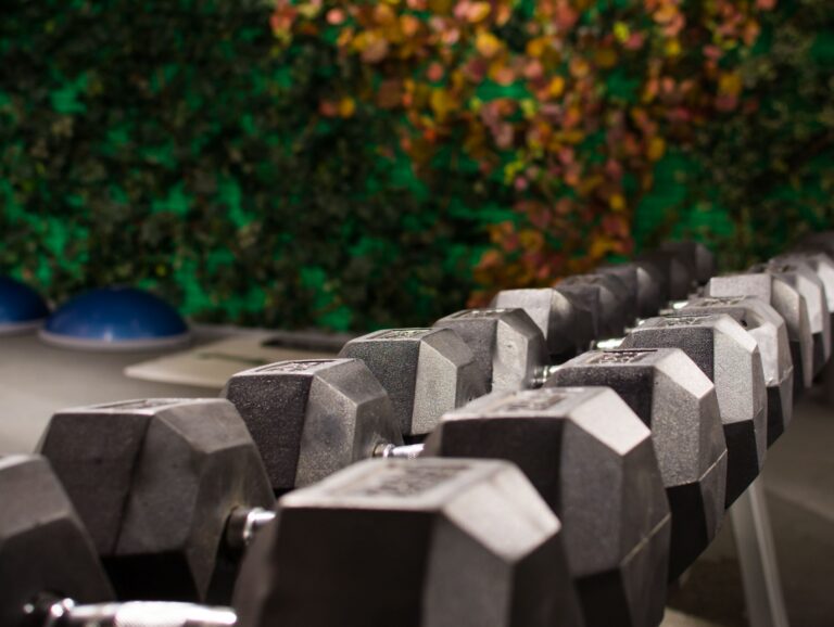 Fitness centar Magna FIT — izgled prostora, Beograd (Novi Beograd)