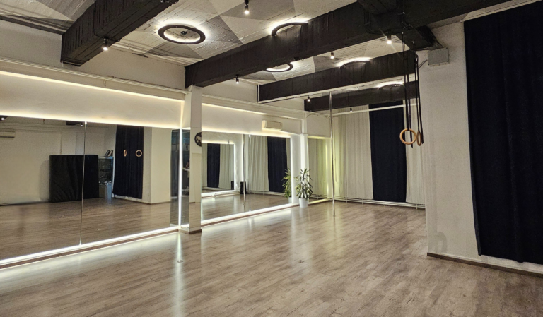 Invictus Pole Dance — izgled prostora, Beograd (Novi Beograd)