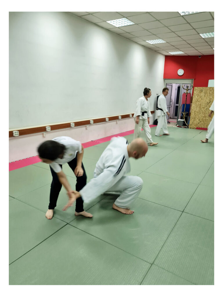 Aikido centar Dojo Harukaze — trening u sali, Beograd (Rakovica)