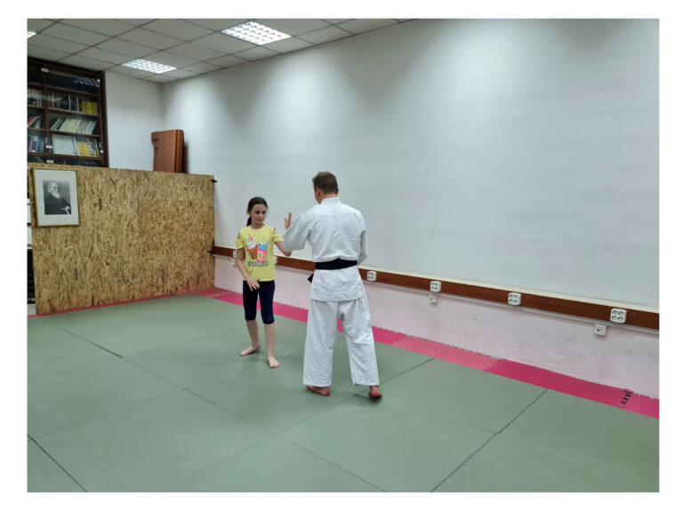 Aikido centar Dojo Harukaze — trening u sali, Beograd (Rakovica)