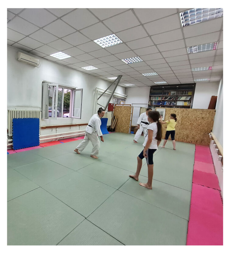 Aikido centar Dojo Harukaze