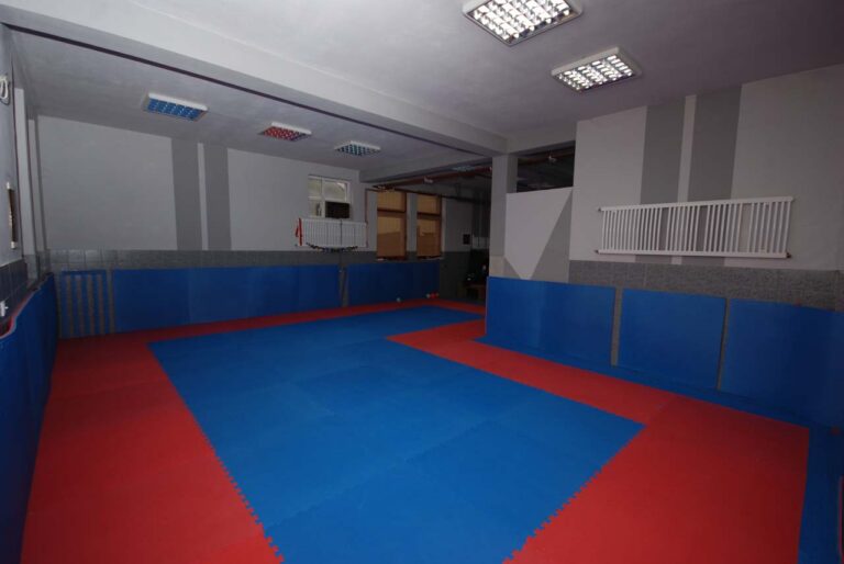 Klub realnog aikidoa Altina — izgled prostora, Beograd (Zemun)