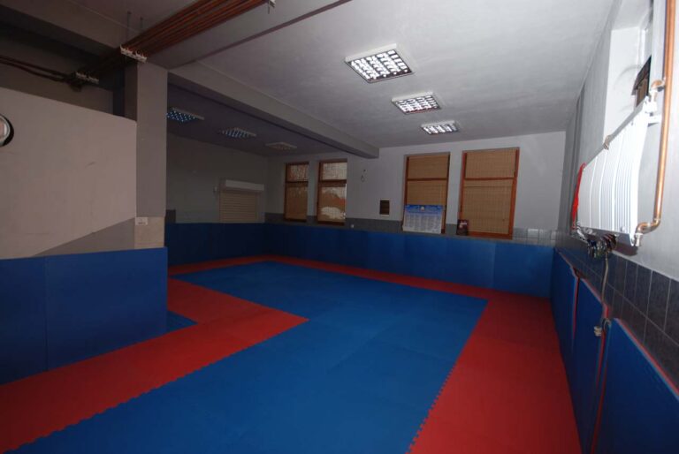 Klub realnog aikidoa Altina