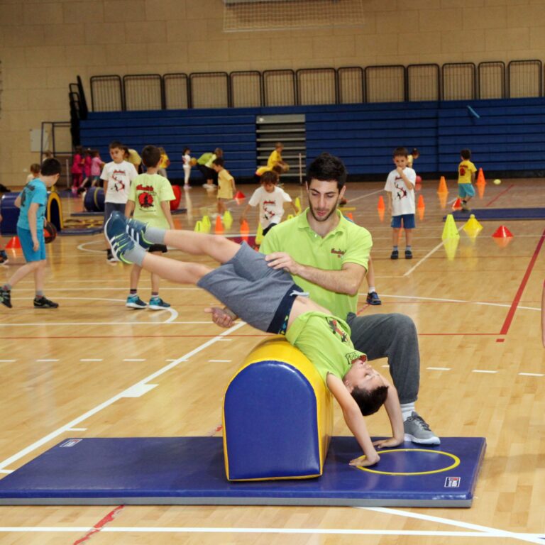 Školica sporta Bushido Kids