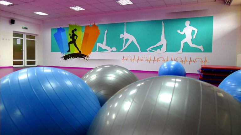 Sportski i poslovni centar Pinki — izgled prostora, Sremska Mitrovica
