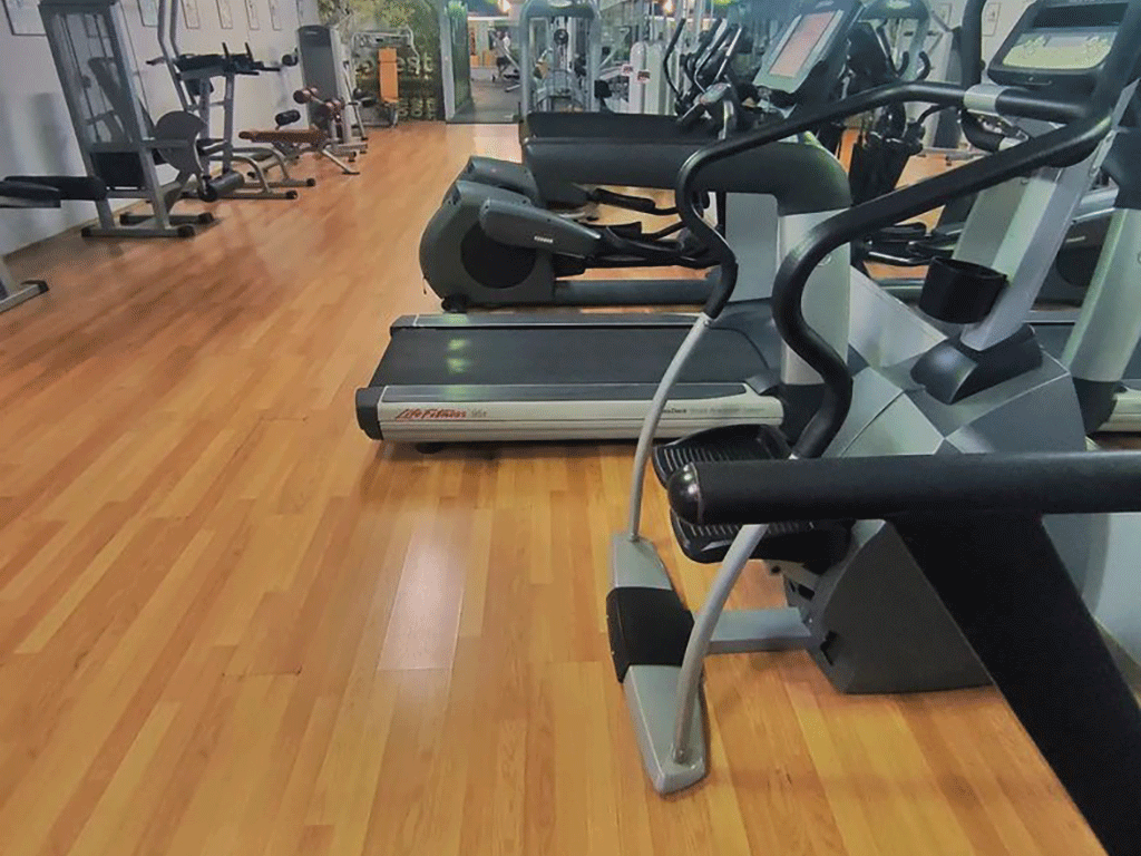 Forest fitness & gym — izgled prostora, Beograd (Palilula)