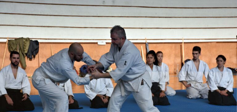 Aikido centar Dojo Harukaze — trening u sali, Beograd (Rakovica)