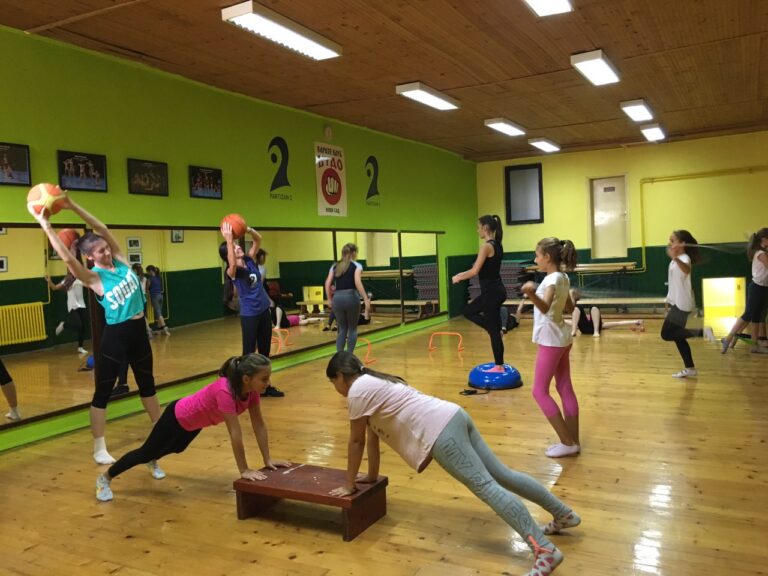 Društvo Sport za sve Partizan 2 — trening u sali, Novi Sad