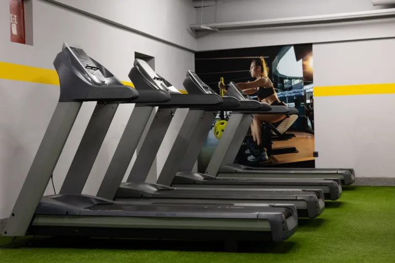 Central Gym — izgled prostora, Sremska Mitrovica