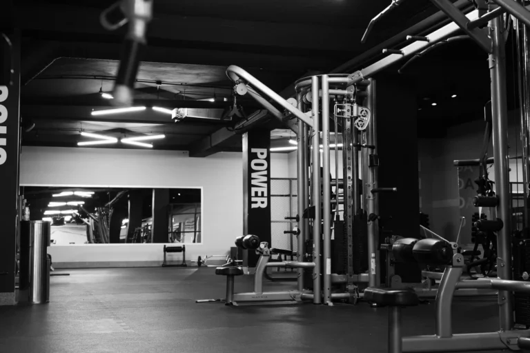 Central Gym — izgled prostora, Sremska Mitrovica
