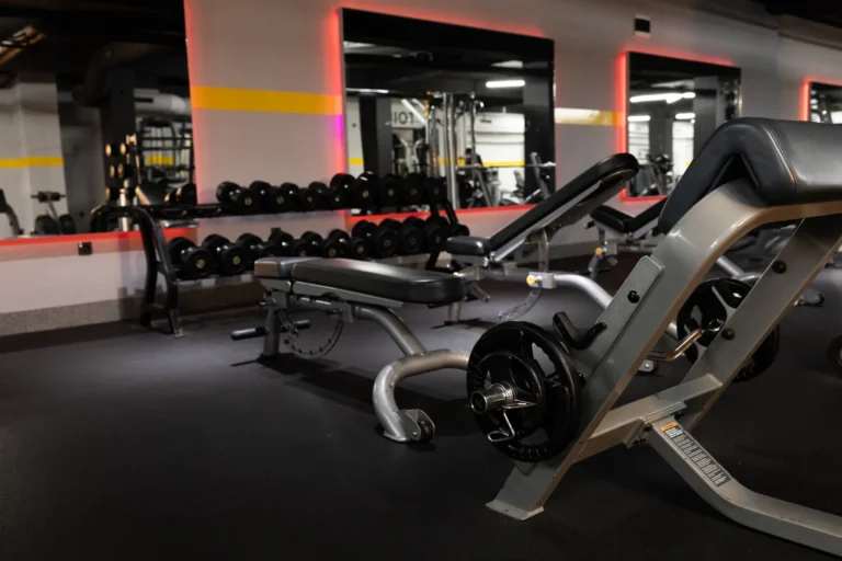 Central Gym — izgled prostora, Sremska Mitrovica