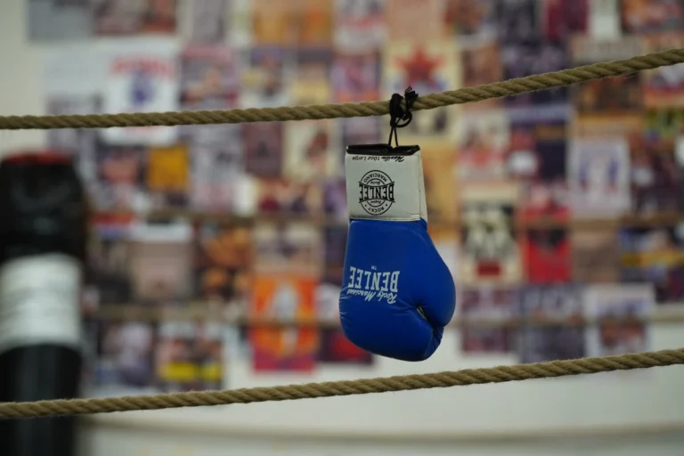 Fight House — izgled prostora, Novi Sad