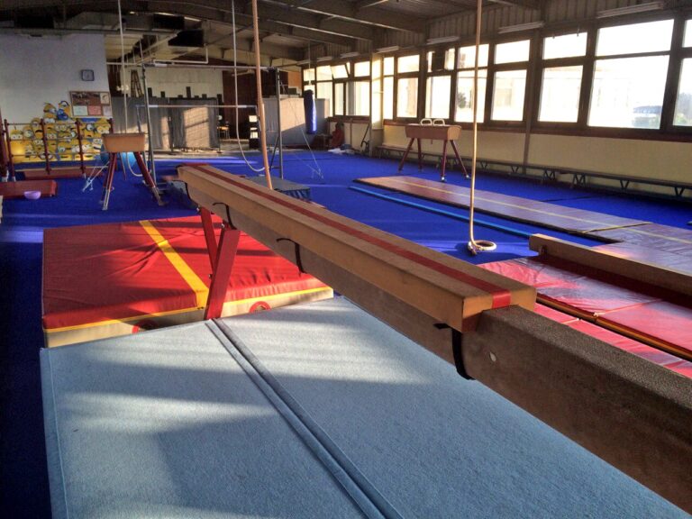 Gimnastički klub Diplomac — izgled prostora, Beograd (Zvezdara)