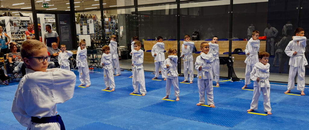 Sportski klub Sunce — trening u sali, Beograd (Novi Beograd)