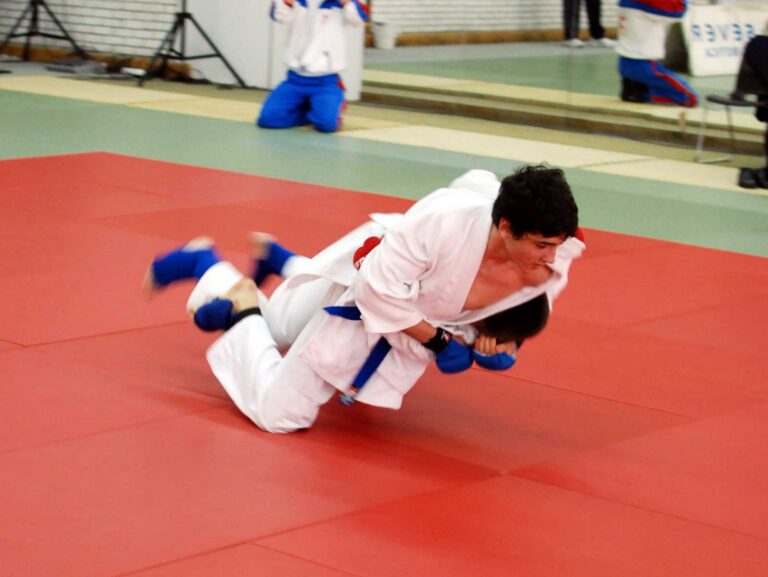 Aikido i Ju-Jutsu klub Vojvodina — trening u sali, Novi Sad