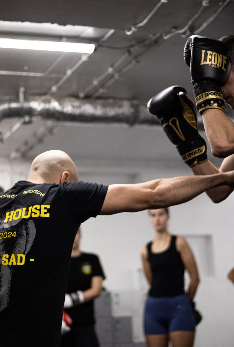 Fight House