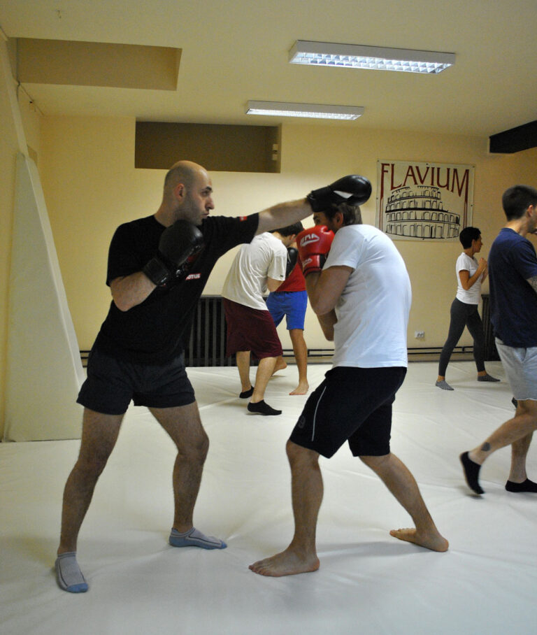 Sportska sala Flavium — trening u sali, Beograd (Palilula)
