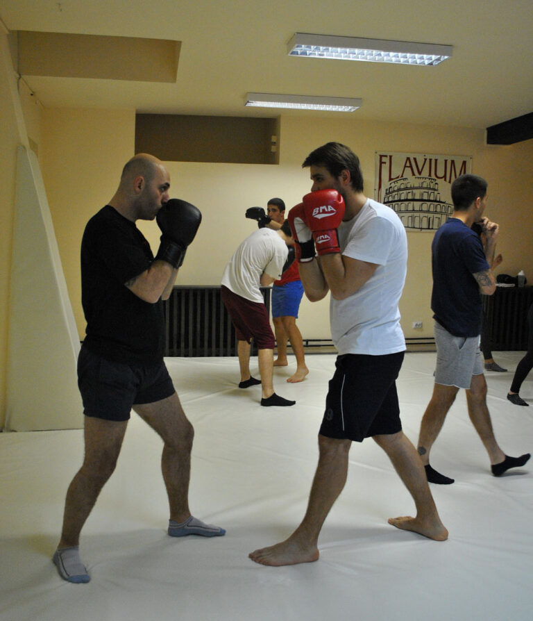 Sportska sala Flavium — trening u sali, Beograd (Palilula)