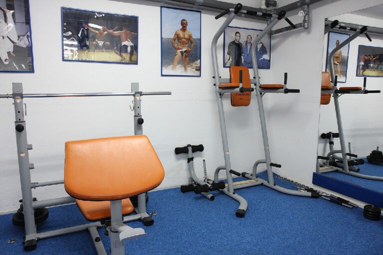 Društvo borilačkih sportova Zvonko Osmajlić — izgled prostora, Beograd (Stari grad)