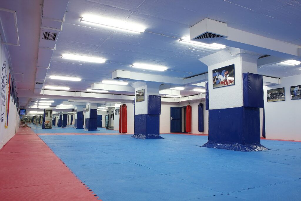Društvo borilačkih sportova Zvonko Osmajlić — izgled prostora, Beograd (Stari grad)