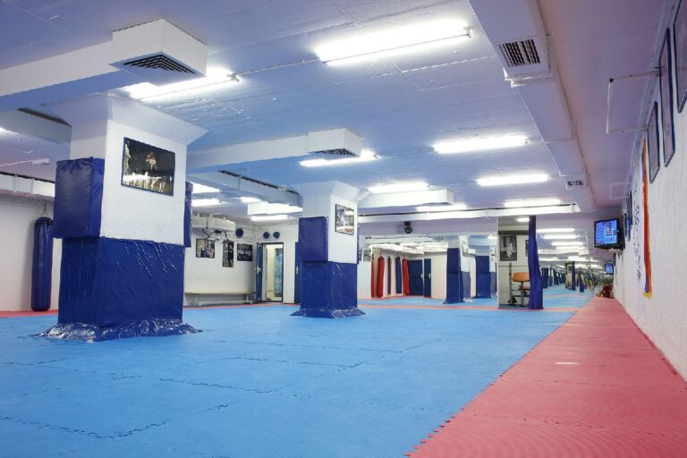 Društvo borilačkih sportova Zvonko Osmajlić — izgled prostora, Beograd (Stari grad)