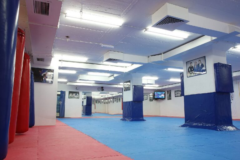 Društvo borilačkih sportova Zvonko Osmajlić — izgled prostora, Beograd (Stari grad)