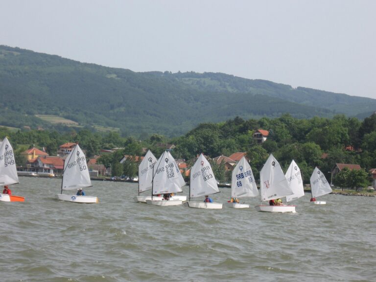 Jedriličarski klub Zemun — izgled prostora, Beograd (Zemun)