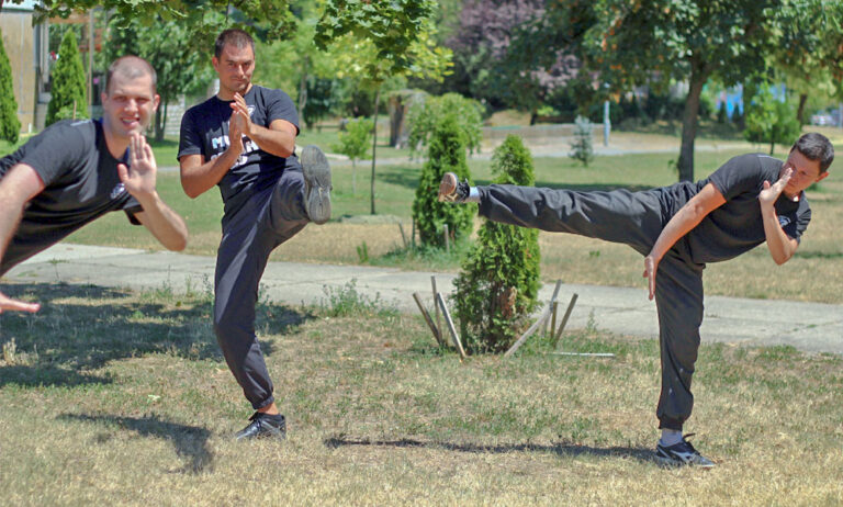 Tradicionalni Wing Chun klub Zmajevo gnezdo