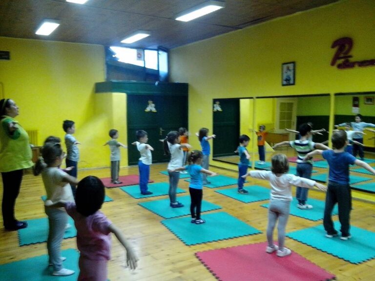 Društvo Sport za sve Partizan 2 — trening u sali, Novi Sad