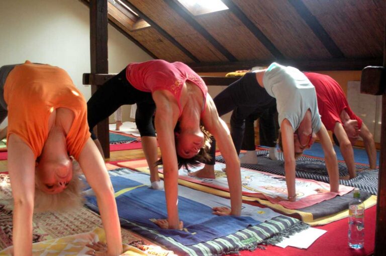 Vidya Yoga Škola yoge Dragana Lončara — trening u sali, Beograd (Palilula)