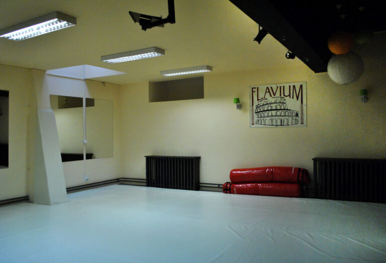 Sportska sala Flavium — izgled prostora, Beograd (Palilula)
