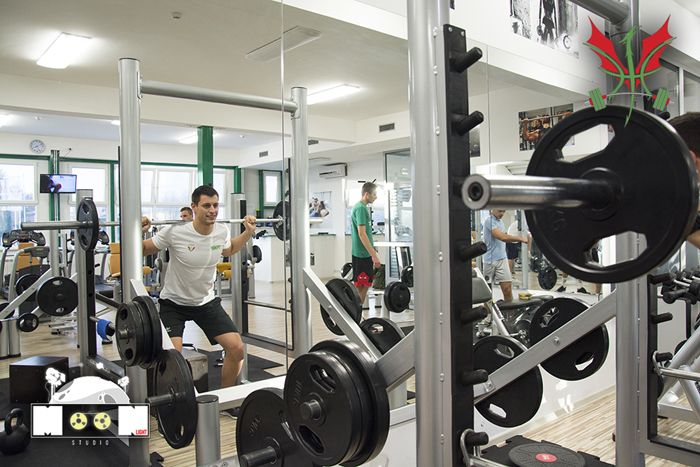 Hala sportova Žarkovo — izgled prostora, Beograd (Čukarica)