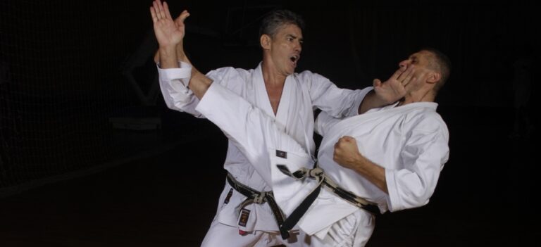 Karate klub Novi Sad