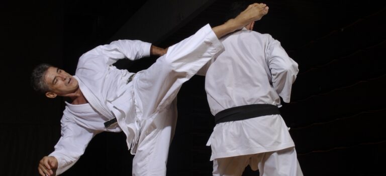 Karate klub Novi Sad — trening u sali, Novi Sad