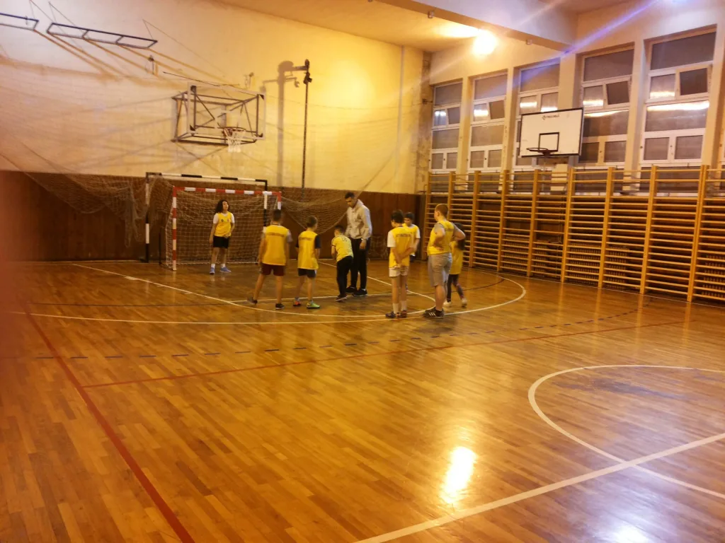 Sportsko udruženje Lavovi — izgled prostora, Beograd (Voždovac)
