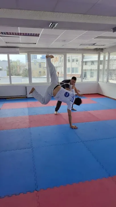 ABADA-Capoeira Centar — fotografija objekta, Palilula