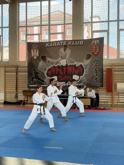 Anima-San 2010 Karate Club — fotografija objekta, Kraljevo