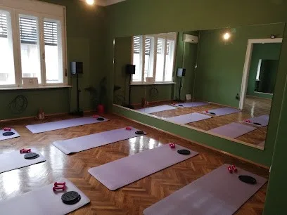 Barre ballet body studio — fotografija objekta, Zrenjanin