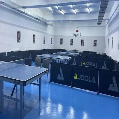 bgSpin 2 - stoni tenis — fotografija objekta, Palilula