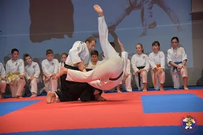 Centar realnog aikidoa Vokić — fotografija objekta, Novi Beograd
