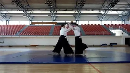 Centar za razvoj aikidoa / Center for Development of Aikido — fotografija objekta, Vrnjačka Banja
