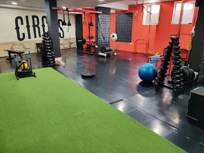 Circus Fitness — fotografija objekta, Novi Sad