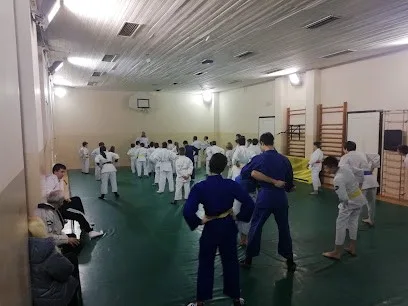 Džudo klub Hrabro srce — fotografija objekta, Beograd (Voždovac)