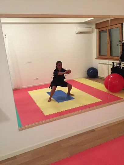 EMS fit body studio A Blok - Novi Beograd — fotografija objekta, Novi Beograd