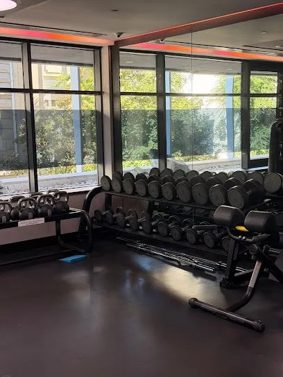 Essence Premium Wellness & SPA — fotografija objekta, Vračar
