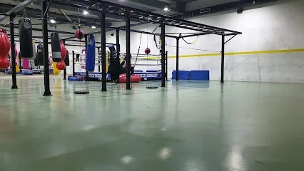 Fitness centar Boxing House — fotografija objekta, Beograd (Zvezdara)